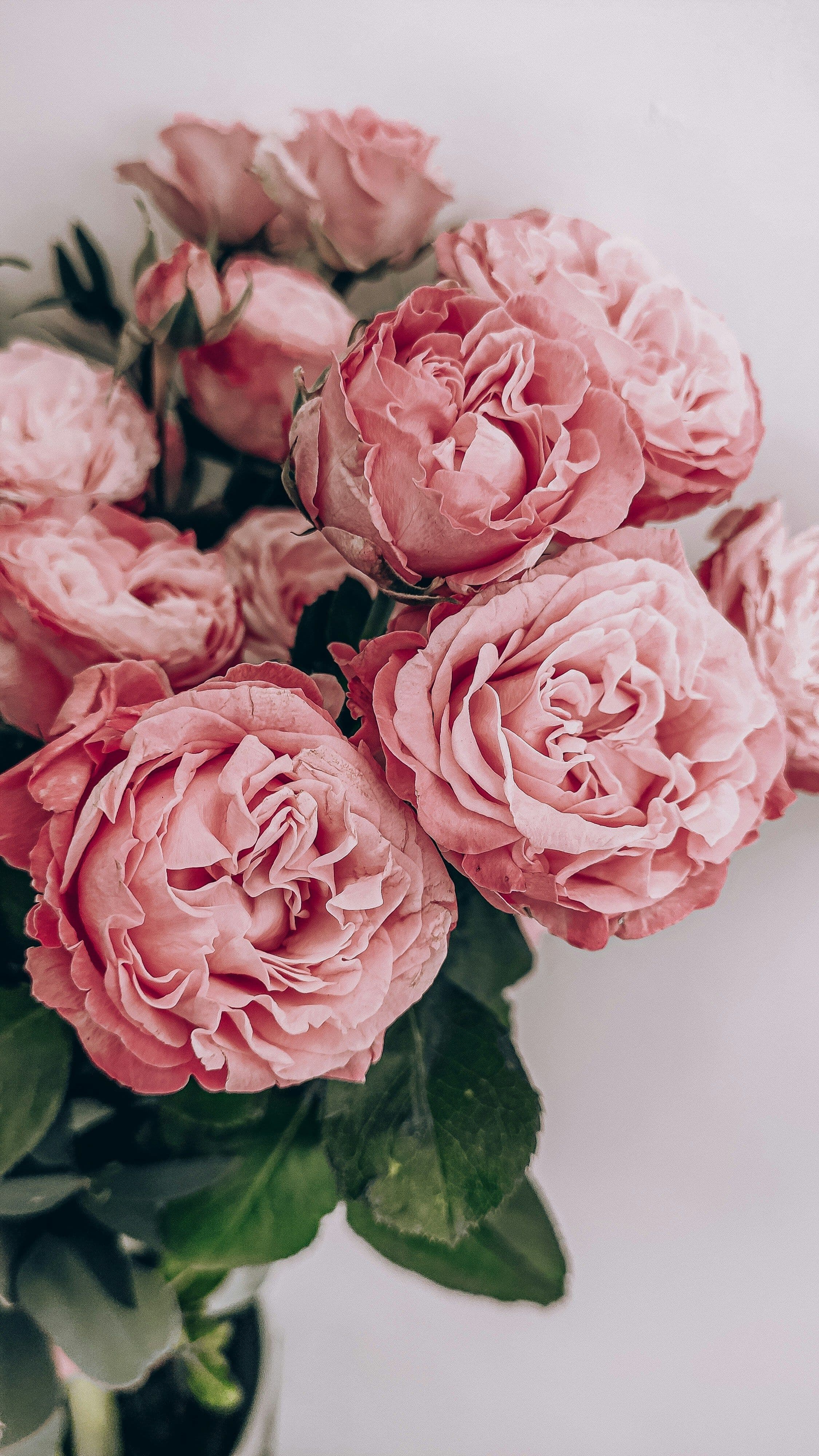 Encinitas flower arrangement roses
